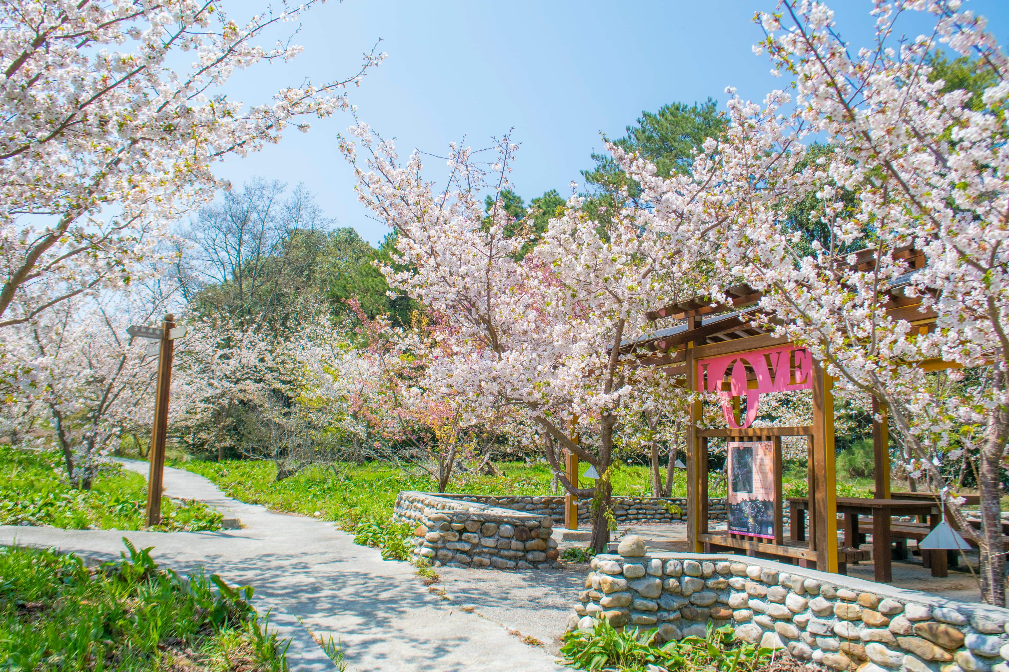 Wuling Farm・Seasonal Blooms